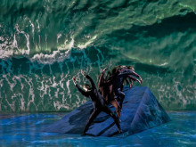 Quadrophenia, a Mod Ballet Quadrophenia, a Mod Ballet